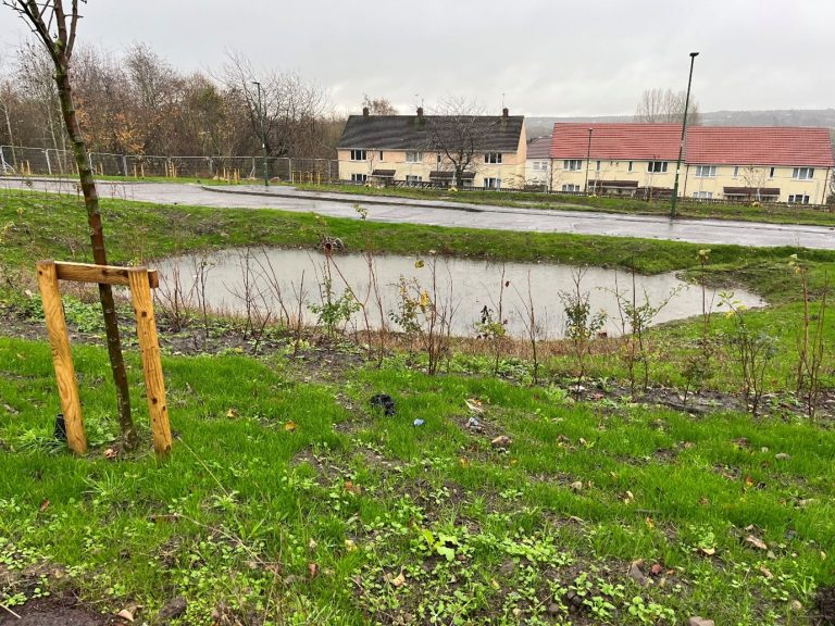 Rainfall Update: A Very Wet November Shows SuDS in Action