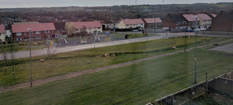 Cheviot/Cleveland Terrace Update