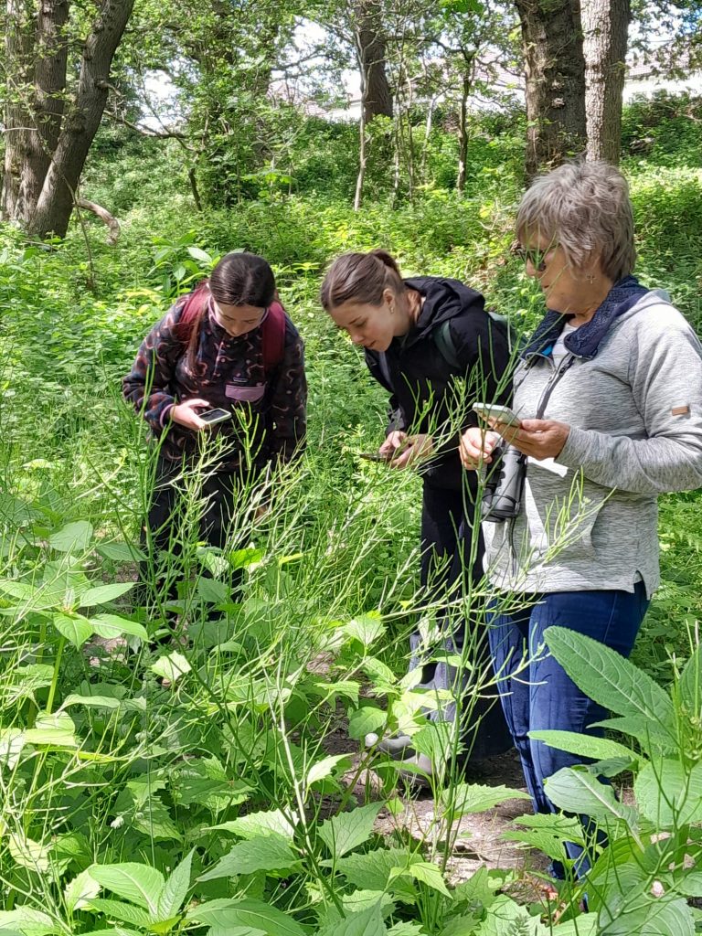 Results are In from SuDS+ Inspired BioBlitz