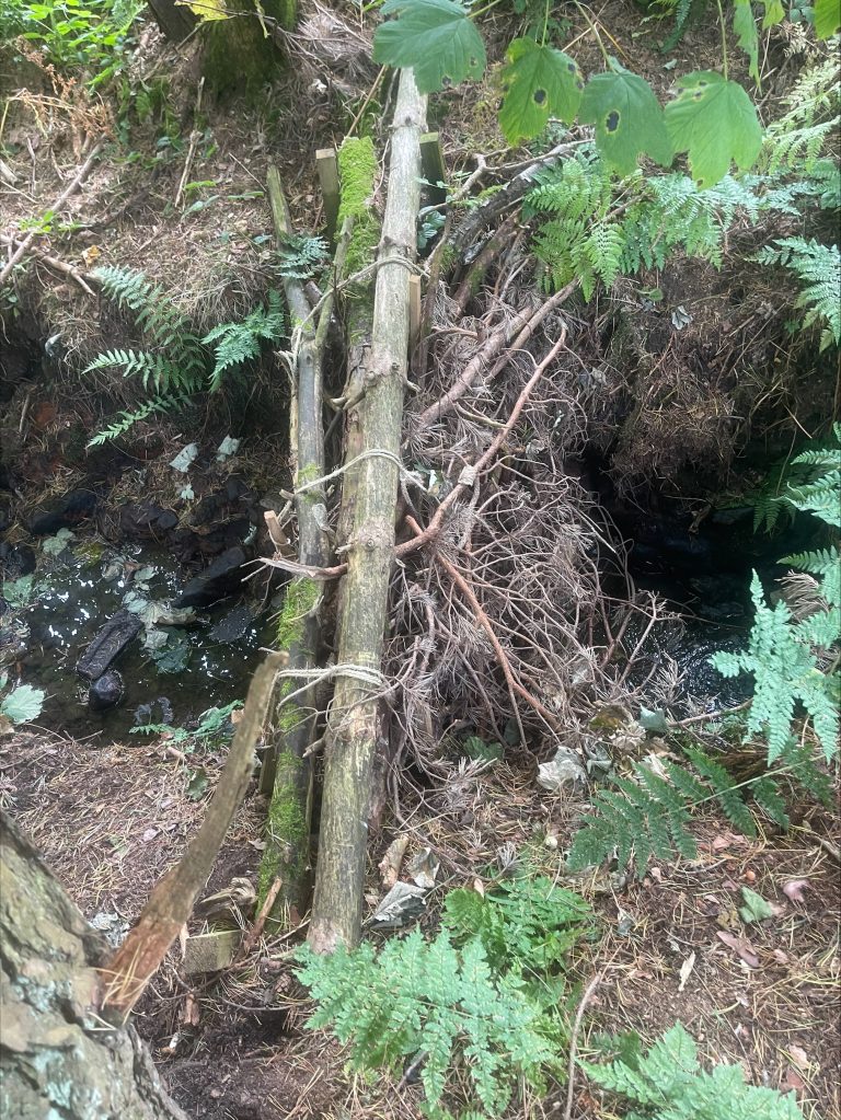 New student research on leaky dams published